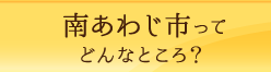 南あわじ市ってどんなところ